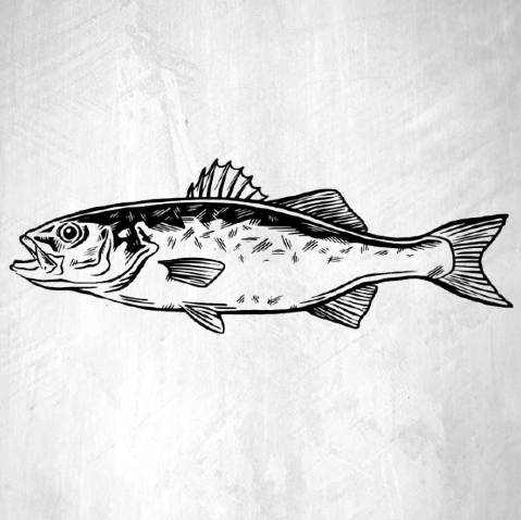 Live Fish