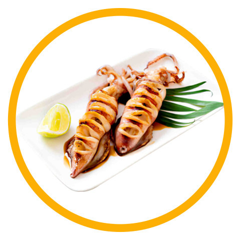 Fresh Squid
